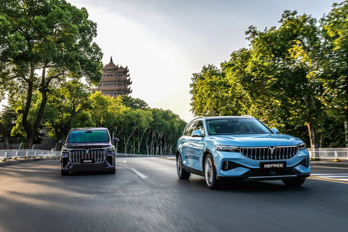 嵐圖汽車 人事結(jié)構(gòu)優(yōu)化促銷量增長，7月市場表現(xiàn)亮眼
