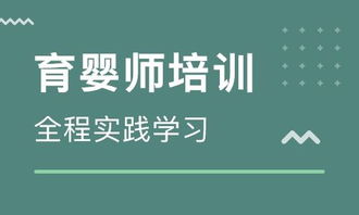 浦西鐘點(diǎn)工、保姆、育嬰師專業(yè)指南 選擇晨忞家政，助力上海品質(zhì)生活
